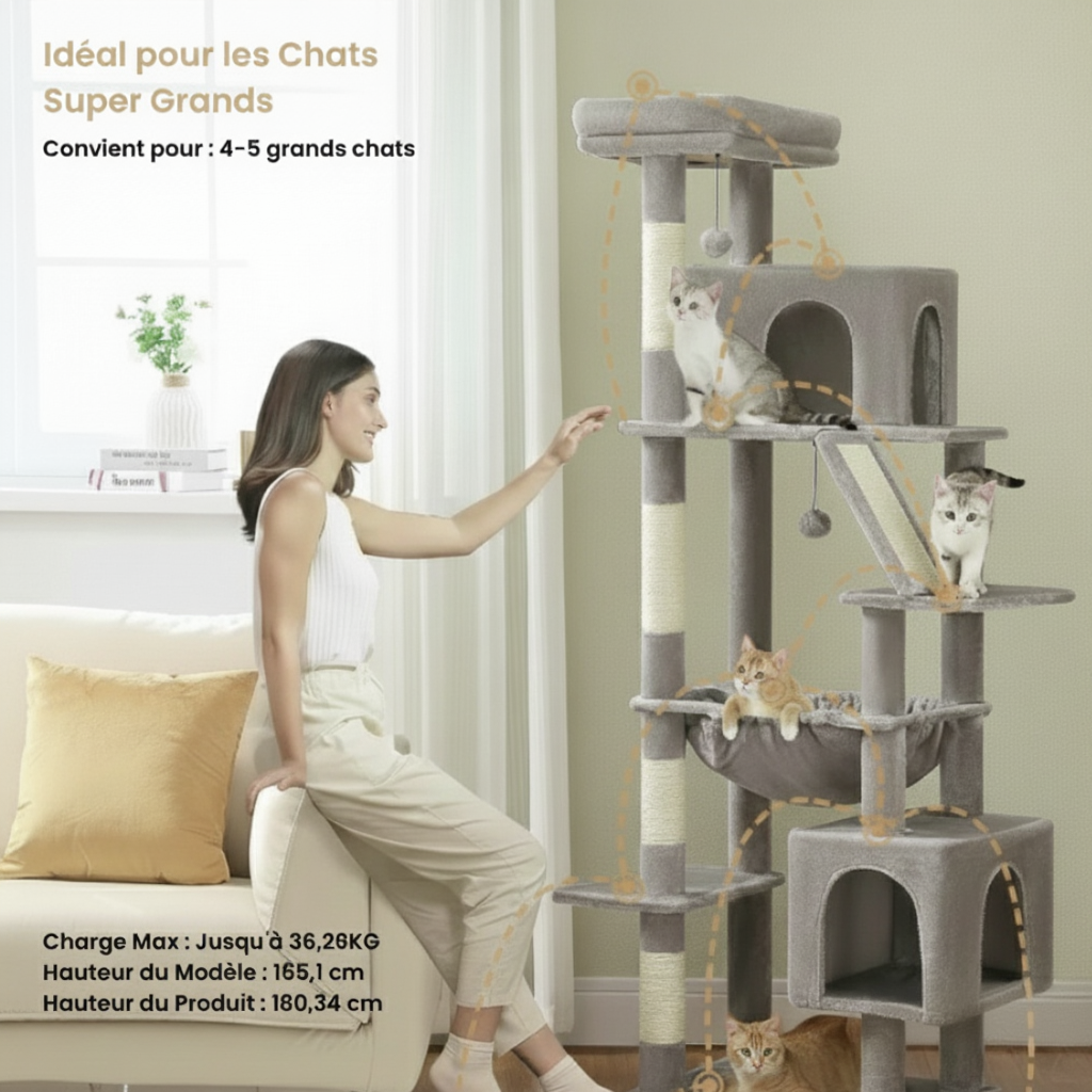 arbre-a-chat-maine-coon-design-180cm-tour-royale-xxl-a-2-niches-informations